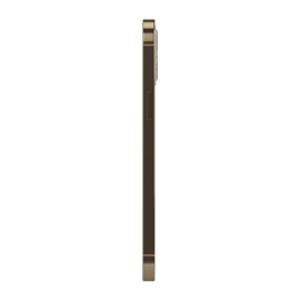 iPhone 12 Pro Max reconditionné 128 Go, Or, débloqué